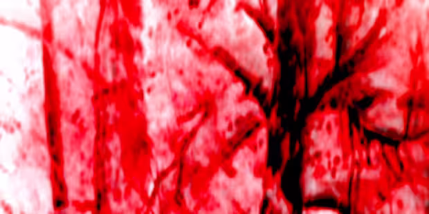 Abstract rood-zwart beeld met vage vormen die abstracte bomen lijken te zijn tijd choreografie louis andriessen betsytorenbos